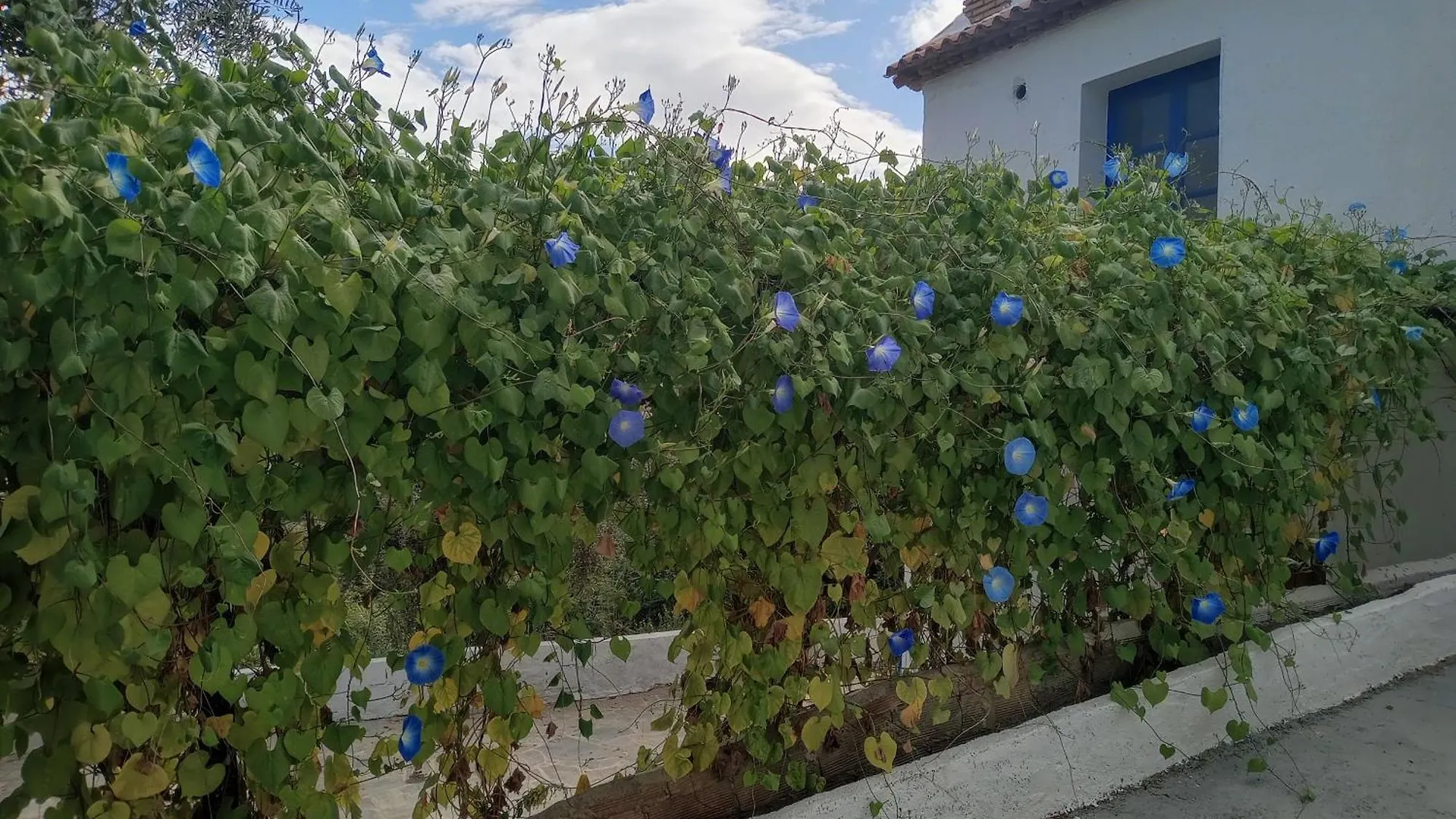 Holiday home Cortijo Al Andalus Villa Granada